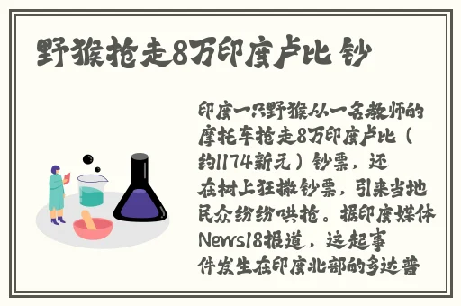 丝瓜香蕉草莓向日葵的绿巨人下载